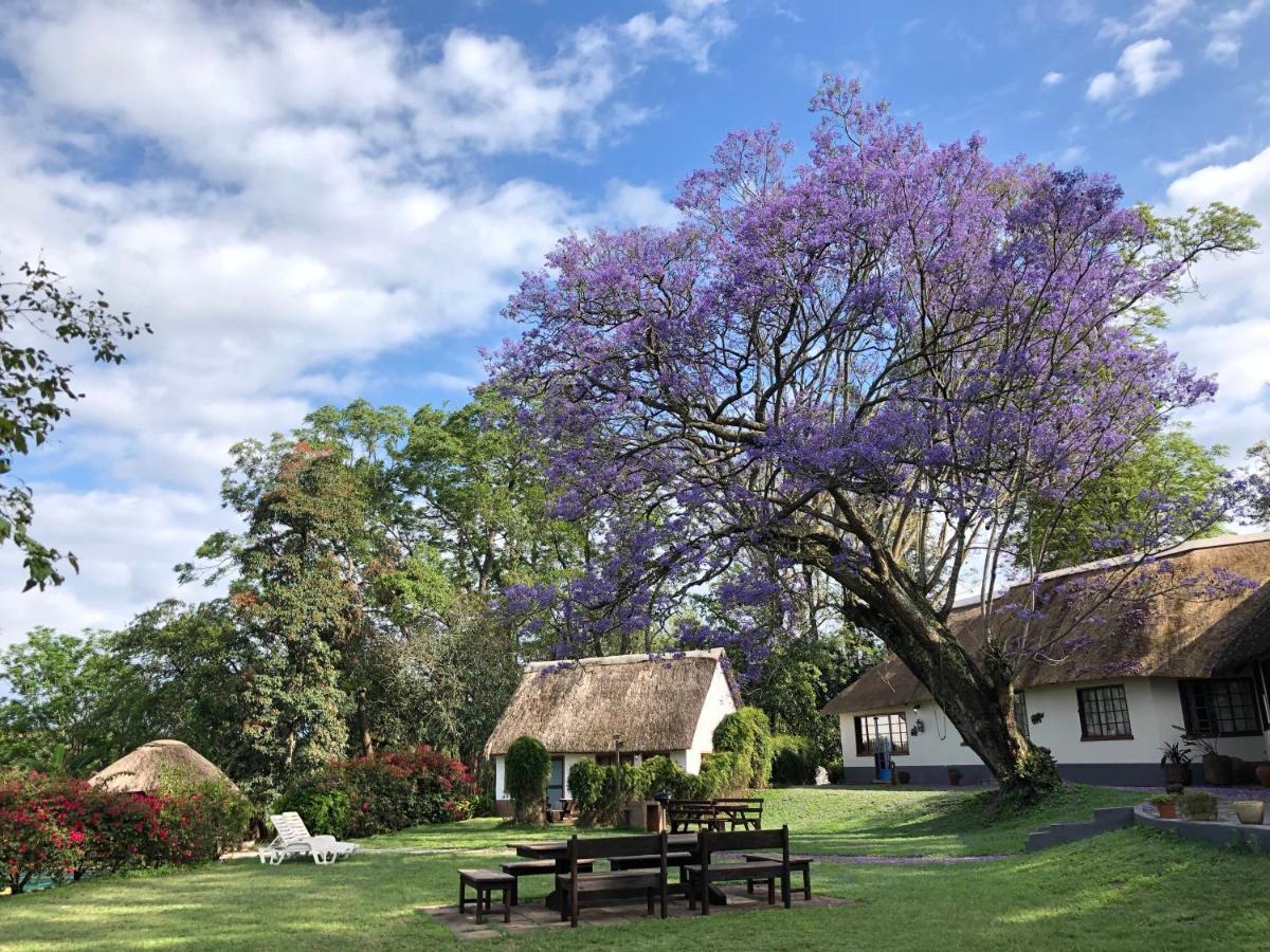 Thokozani Lodge ホワイトリバー エクステリア 写真